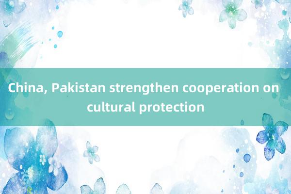 China, Pakistan strengthen cooperation on cultural protection